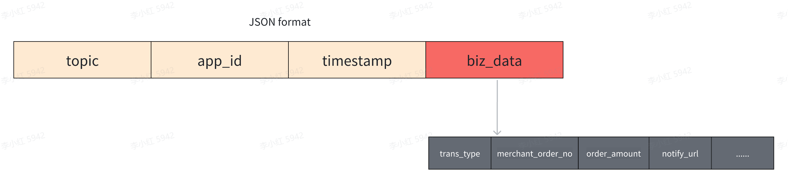 Cross terminal application integration, WLAN/LAN mode integration input parameter structure diagram
