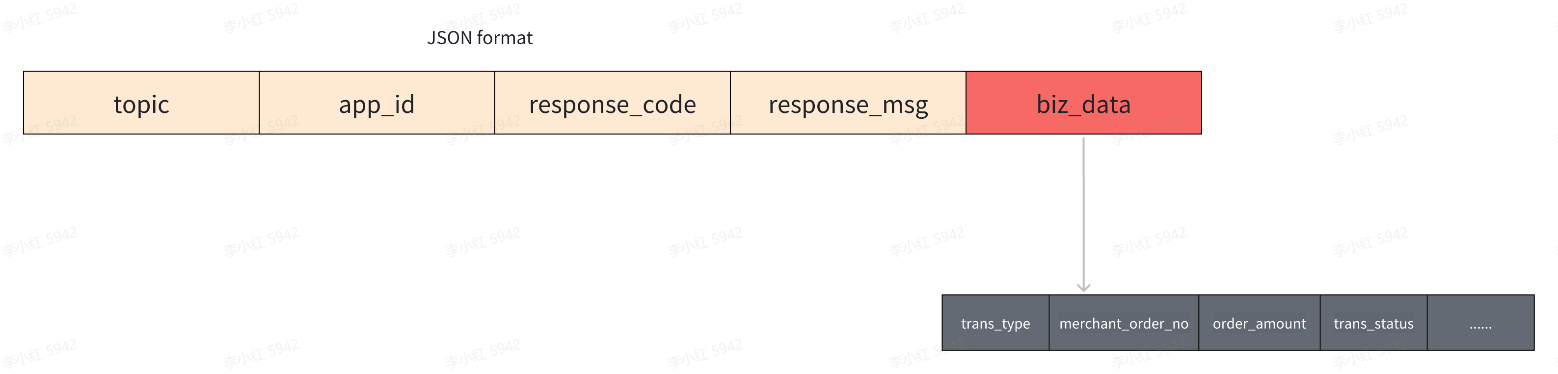 Cross terminal application integration, WLAN/LAN mode integration output parameter structure diagram